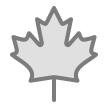 Canadian Index icon